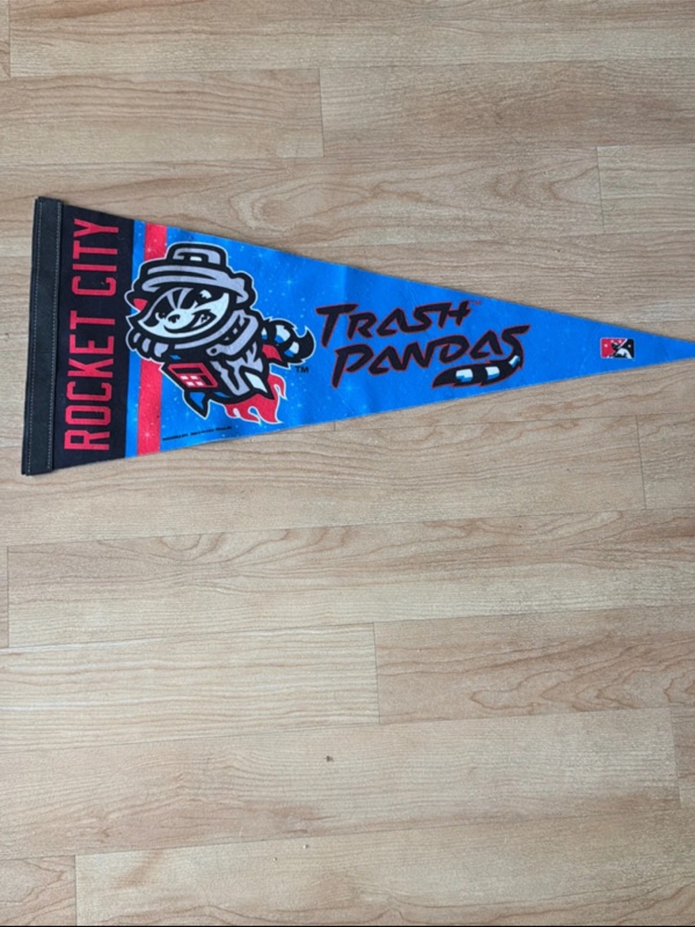 Huntsville Alabama Minor League Baseball Rocket City Trash Pandas Pennant